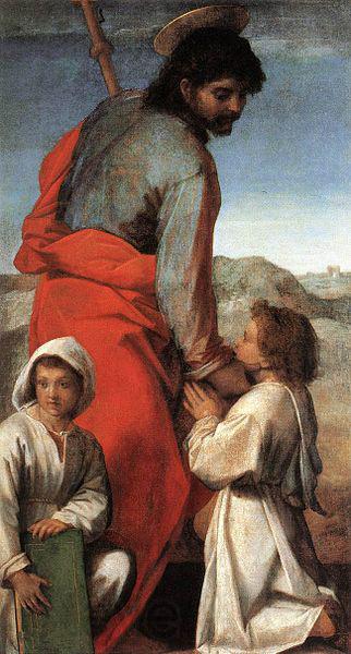 Andrea del Sarto St James France oil painting art